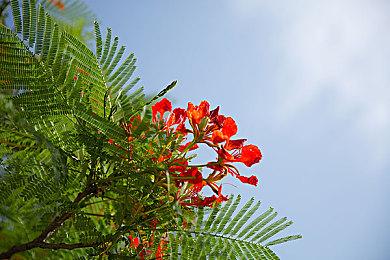 Pre-alpha版《战地手游》场景破坏更胜《战地2042》